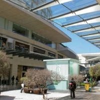 Asaltan de nuevo Plaza Antara; ladrones se llevan ocho relojes de lujo