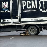 Encontraron a una mujer muerta en una casa de San Martín