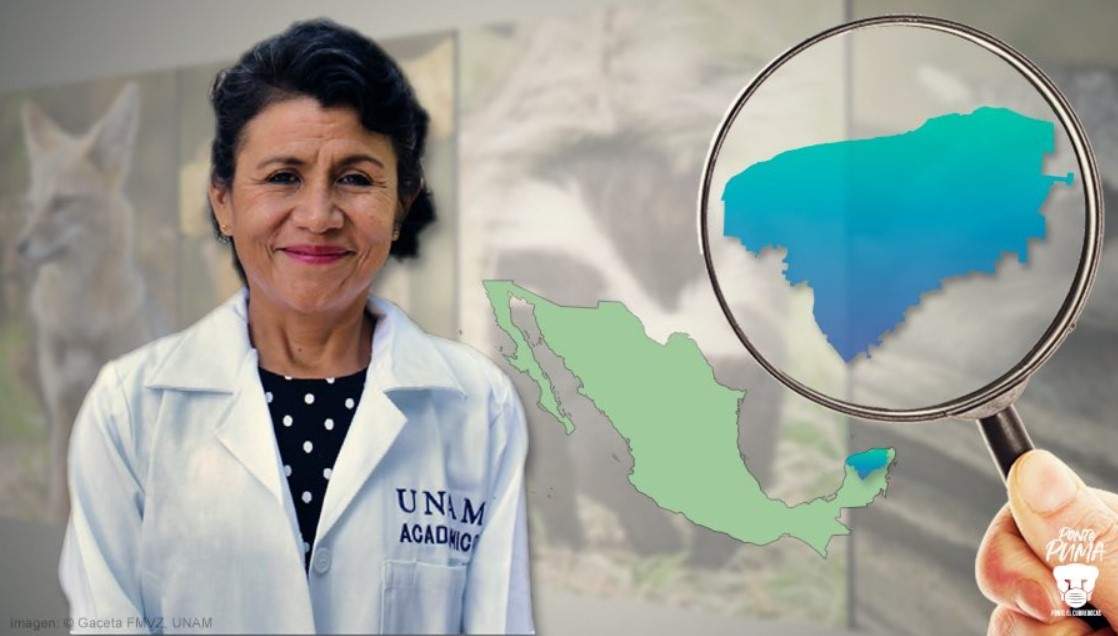 Gobierno de Estados Unidos premia a universitaria por investigación sobre virus en animales silvestres