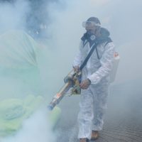 Casi 75 mil fallecimientos por covid-19 en México: Ssa