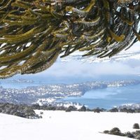 Villa Pehuenia Moquehue: el presidente de la Cámara de Turismo analizó la situación del sector