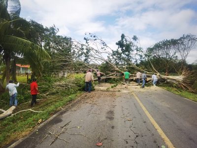 CFE restablece servicio a 175 mil 894 usuarios afectados por el frente frío 19 en 3 estados