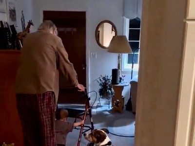 Tierno paseo de un abuelo con su bisnieta mientras da sus primeros pasos se vuelve viral (video)