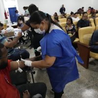 Justo antes del Carnaval, Río de Janeiro declara emergencia por brote de dengue