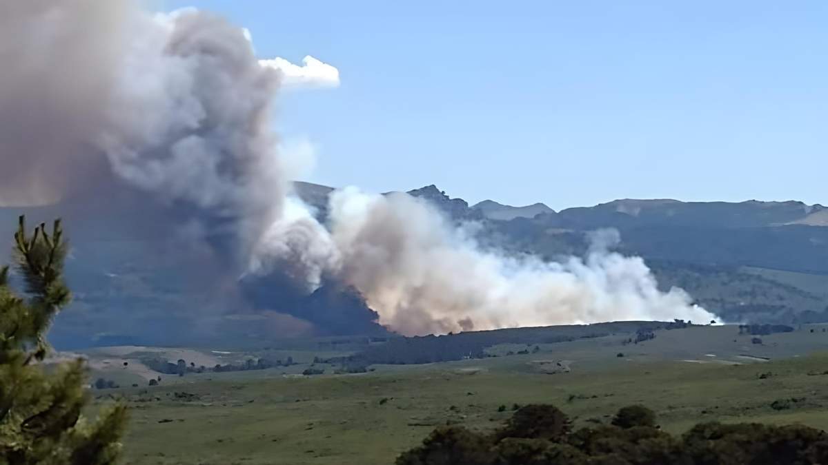 Incendio en Aluminé. Fuente: (Twitter)