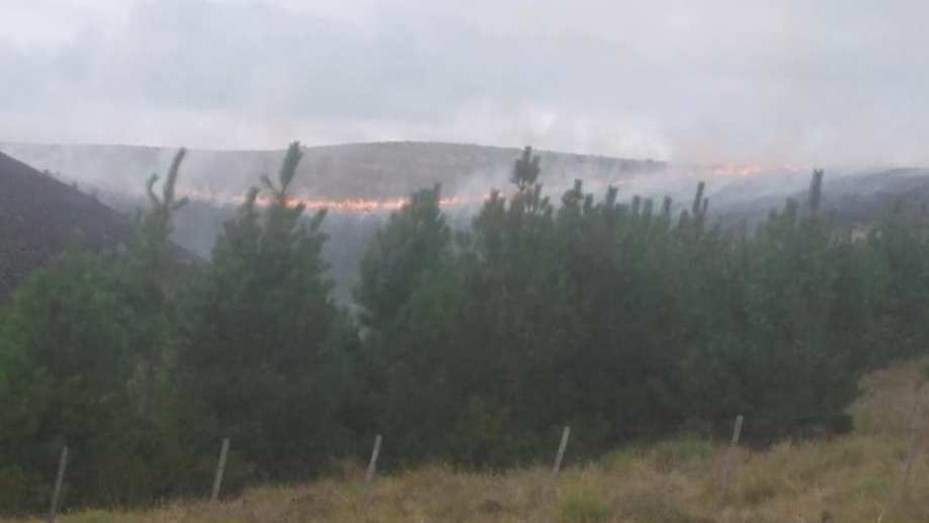 Incendios por la tormenta eléctrica en Neuquén Fuente: (Instagram)
