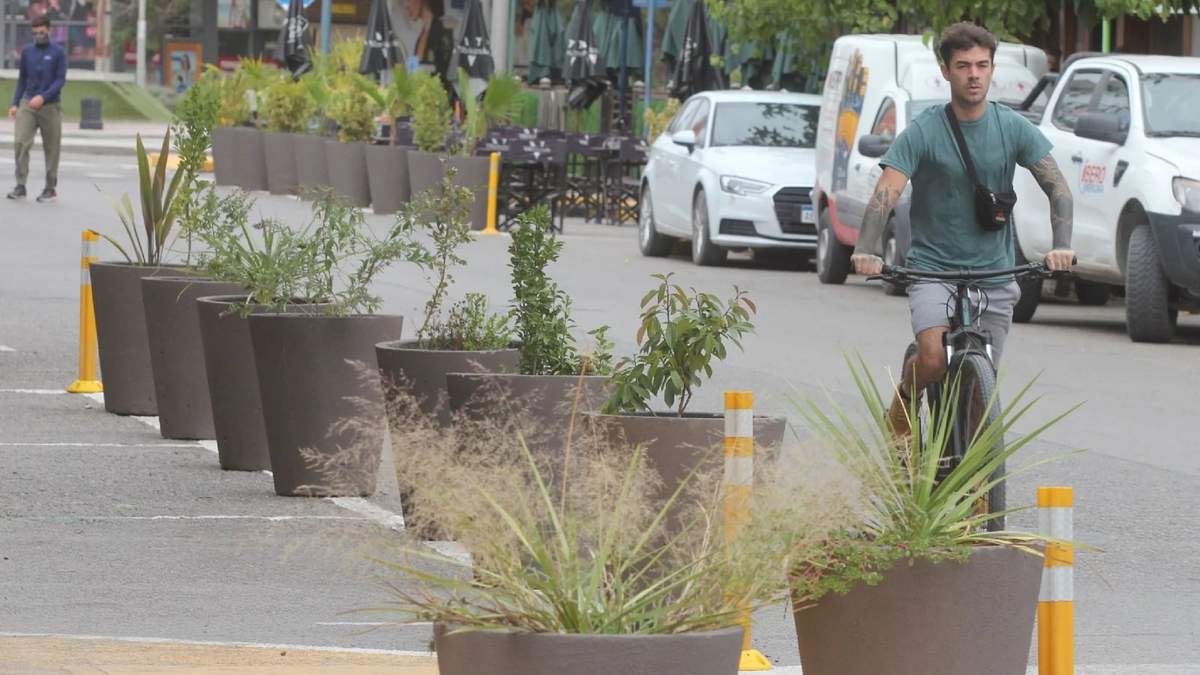 La gestión de Gaido compró 1300 macetas. Fuente: Facebook