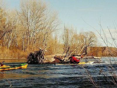 Excursión con kayak y flotada en un rincón tranquilo del río Negro