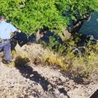 Encontraron el bolso del pescador desaparecido en Piedra del Águila: se intensifica la búsqueda