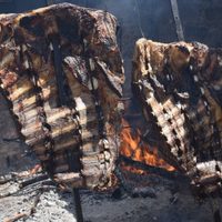 Cerró la Fiesta del Asado a la Estaca en Zapala