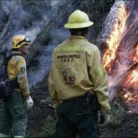 Brigadistas del Parque Nacional Lanín temen por la posible caída de los contratos laborales