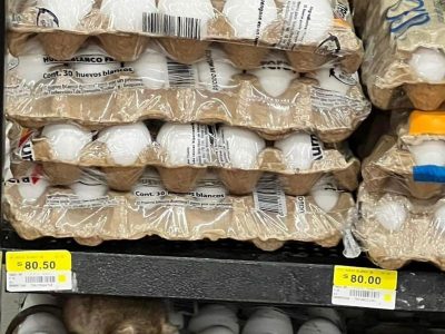 Una rata pasea sobre cartones de huevo en un supermercado de Yucatán y se vuelve viral
