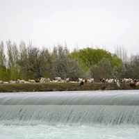 Un oasis de agua en la Patagonia norte: actividades imperdibles a pocos kilómetros de Neuquén