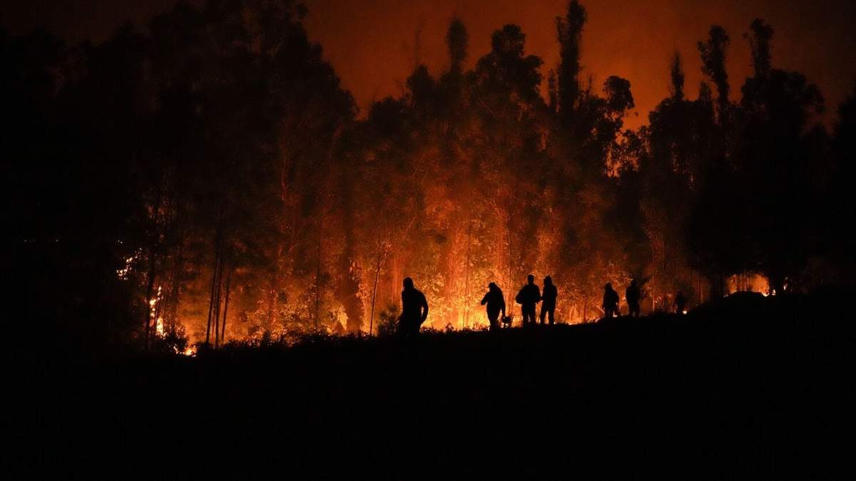 Voluntarios llevan suministros para los bomberos cerca de un incendio forestal en Puren