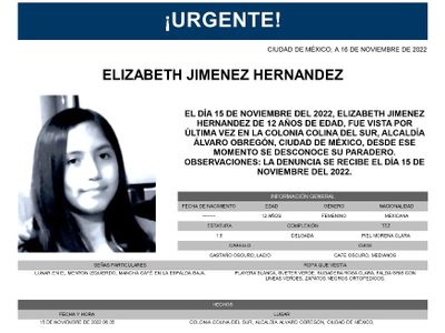 Familiares buscan a Elizabeth Jiménez quien desapareció tras subir al transporte escolar