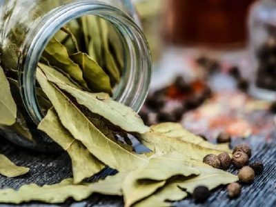 Cuál es el truco infalible con hojas de laurel que ayudarán al bienestar del hogar