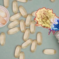 Científicos identifican cómo un suplemento de longevidad puede favorecer células cancerígenas