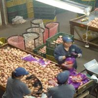 México elimina aranceles impuestos a EU tras acuerdo en importaciones de acero y aluminio