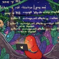 "Solo los hemos puesto en evidencia": esto dijo el colectivo Guacamaya sobre el hackeo a Sedena