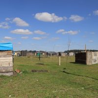 Tensión en Allen: continúan las tomas de tierras