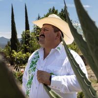 Revocan vinculación a proceso contra regidor de Actopan, Hidalgo, acusado de homicidio