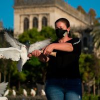 Ofrecen grandes incentivos turísticos para quienes viajen después de la pandemia de coronavirus