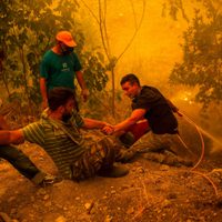 Los incendios forestales en Grecia calcinan al menos 50 mil hectáreas de bosque
