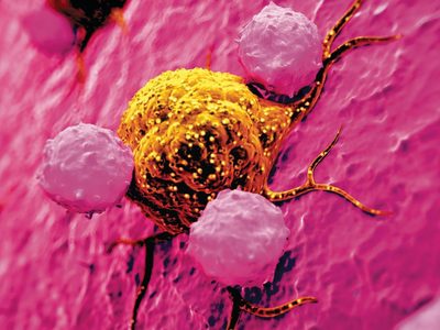 Cofepris autorizó medicamento contra el cáncer