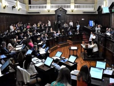 Declaración antimapuche impulsada por Cornejo y Suarez “es comparable con la Alemania nazi”