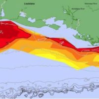 La zona muerta del Golfo de México se mantiene sobre más de 10 mil km2