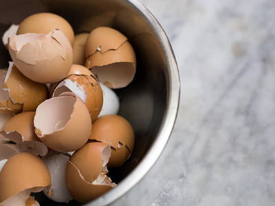 No tires las cáscaras de huevos: así de útiles son para decorar y crear lo más hermoso