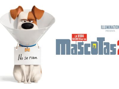 'La vida secreta de las mascotas 2”: El cuidado de los seres queridos