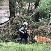 Inundaciones en Texas: Suman 104 muertos y hay múltiples desaparecidos