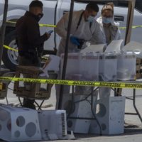 Sin voluntad política se diluye el blindaje electoral ante el narco