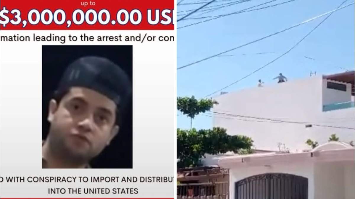 Ficha de búsqueda de "El Nini"