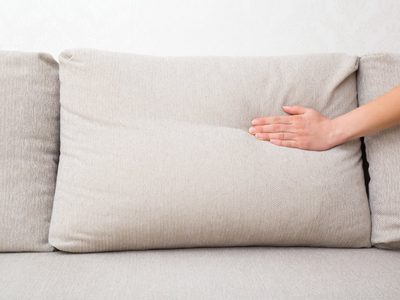 Si ya no sabes qué hacer, mirá este truco de la abuela para eliminar el olor a orina de gato de tus sillones