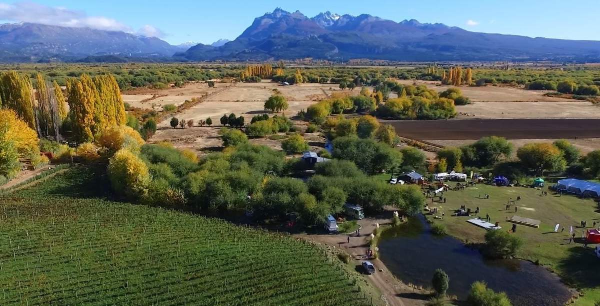 Vinos de Chubut. Fuente: (Facebook)