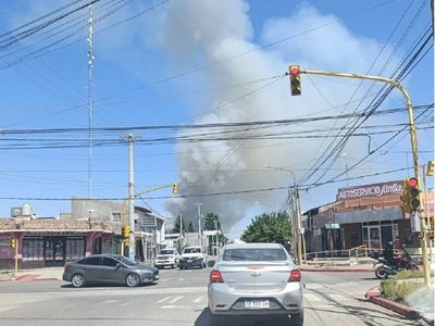 Bomberos combaten un Importante incendio forestal en Plottier