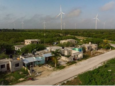 El impacto de los parques eólicos del Yucatán, un ejemplo a no seguir