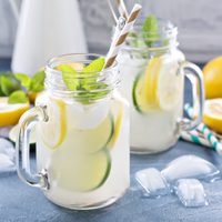 Época de limones: no compres más gaseosas y prepará esta limonada casera con esta tremenda receta
