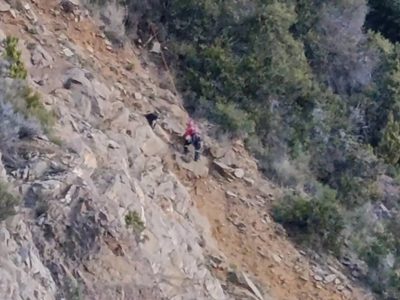 Bomberos Voluntarios recibieron agresiones en medio de un operativo para rescatar a un perro