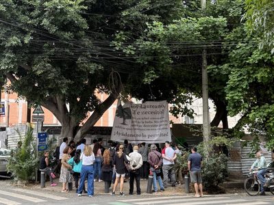 Conceden suspensión provisional para evitar la tala del árbol centenario Laureano
