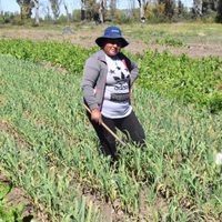 El Gobierno de Neuquén lanzó la cuarta edición de Mujeres Rurales: cómo se puede participar