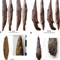 Sin precedentes: descubren herramientas de hace 300 mil años