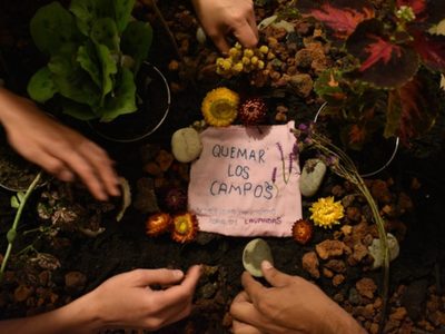 Teatro documental: "Quemar los campos" en la colonia Juárez