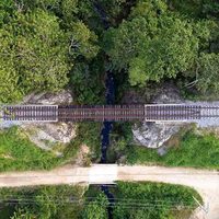 Grandes empresarios, prestos a beneficiarse con el Tren Maya