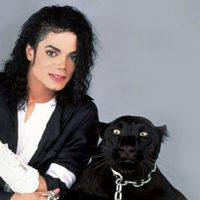 Como una leyenda: A casi 11 años de su fallecimiento Michael Jackson volvió a ganar un juicio
