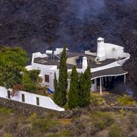 “Están bien”: un misterioso grupo se adelantó a los drones y rescató a los perros atrapados en La Palma