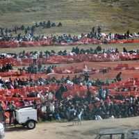 Migración y covid-19: repercusiones en México y América Latina