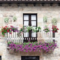 Cinco plantas fáciles de conseguir y económicas para decorar tu balcón o terraza en primavera